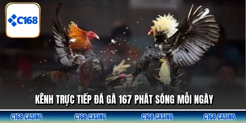 Kênh trực tiếp đá gà 167 phát sóng mỗi ngày Kênh trực tiếp đá gà 167 phát sóng mỗi ngày
