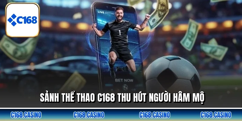 Sảnh thể thao C168 thu hút người hâm mộ Sảnh thể thao C168 thu hút người hâm mộ